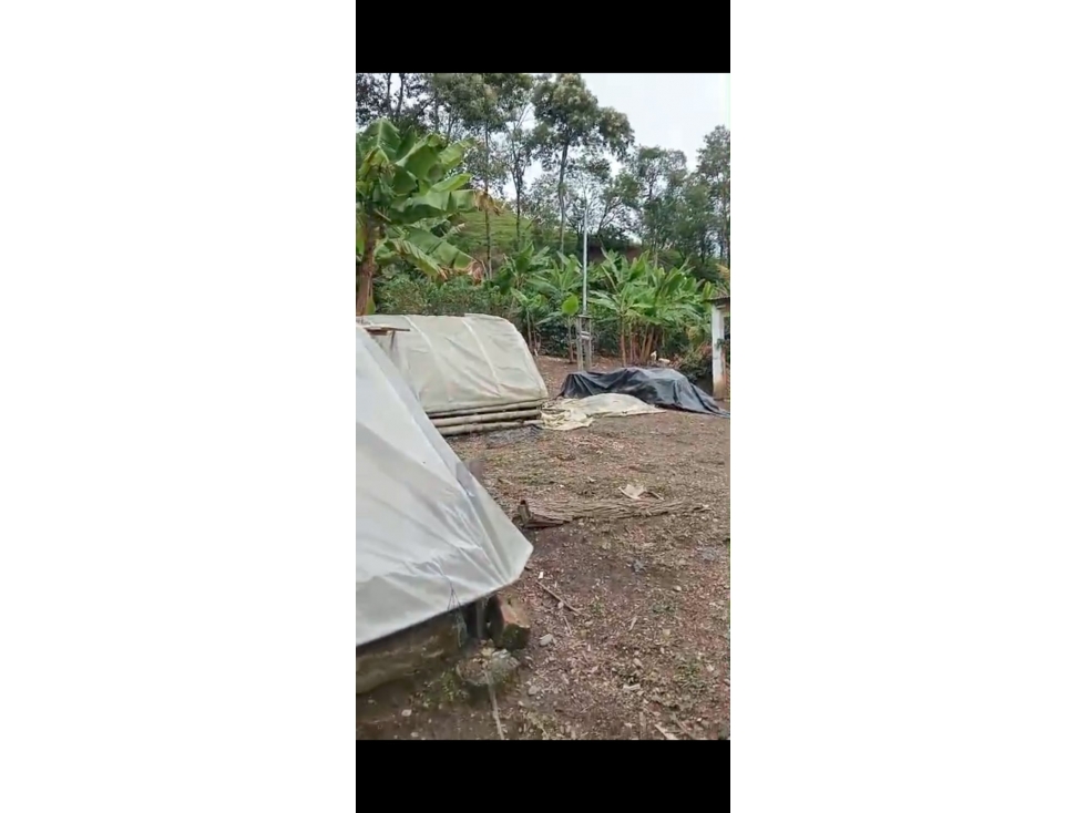 FINCA EN VENTA/BALBOA - 5