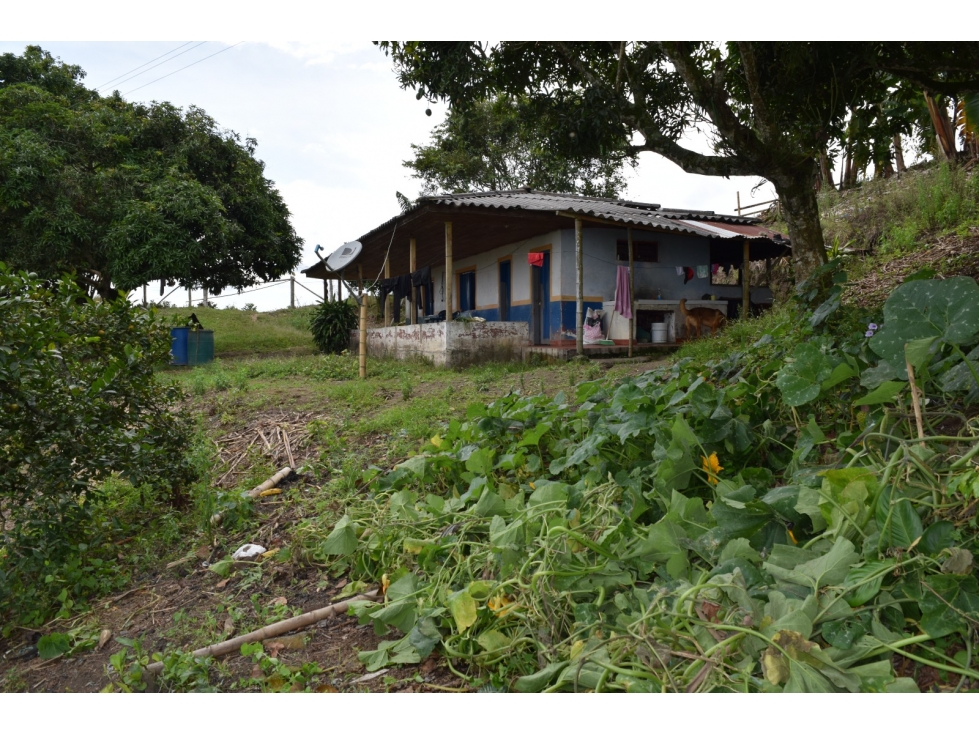 FINCA EN VENTA MARCELLA LAS TAZAS - 2