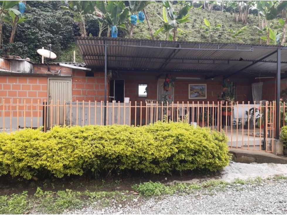 FINCA EN VENTA ANSERMA CALDAS - 5