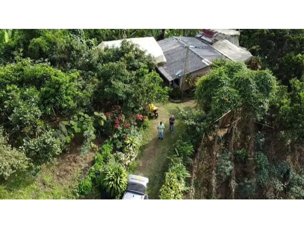FINCA EN VENTA SANTA ROSA DE CABAL SANANDRECITO — foto 5