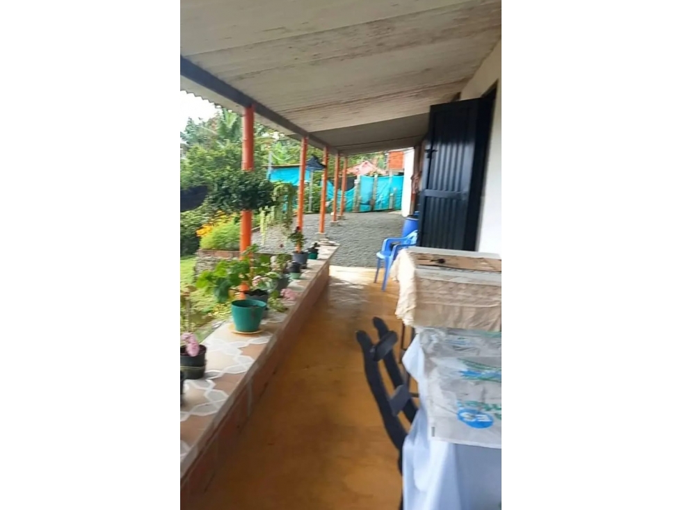 FINCA EN VENTA SANTA ROSA DE CABAL EL MANZANILLO — foto 6