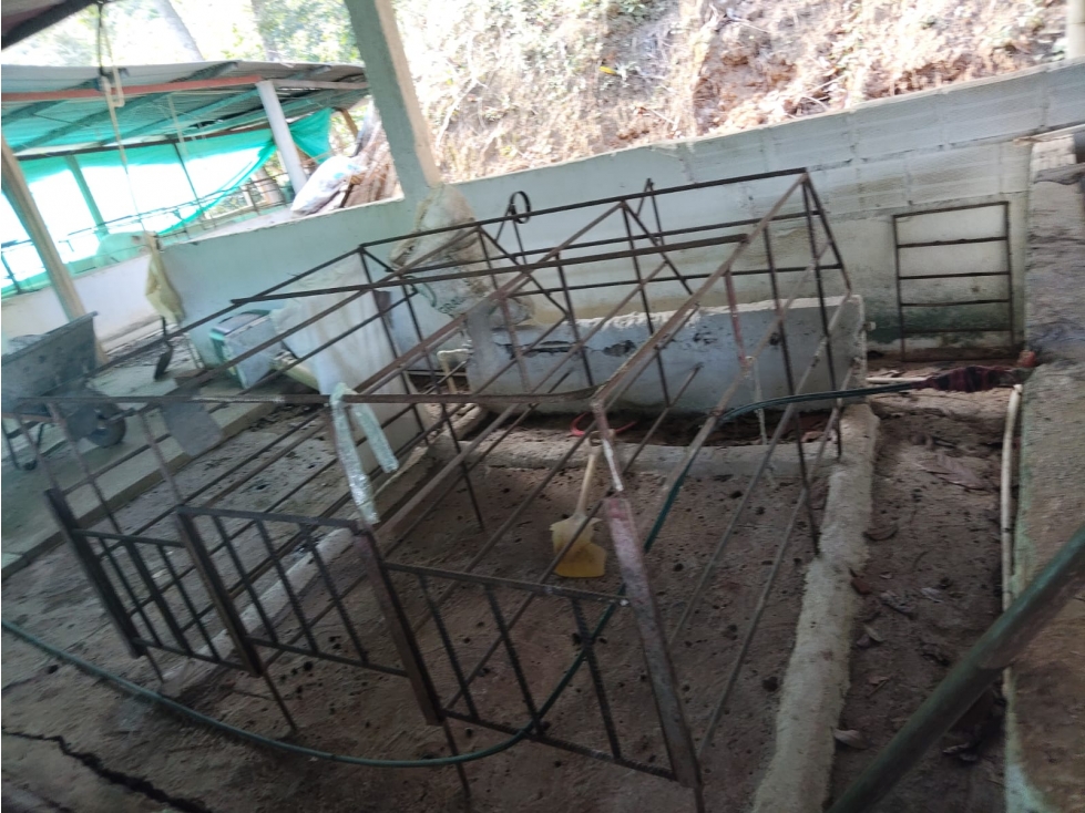 FINCA EN VENTA IBAGUE LA TEBAIDA VIA LA MINA — foto 3