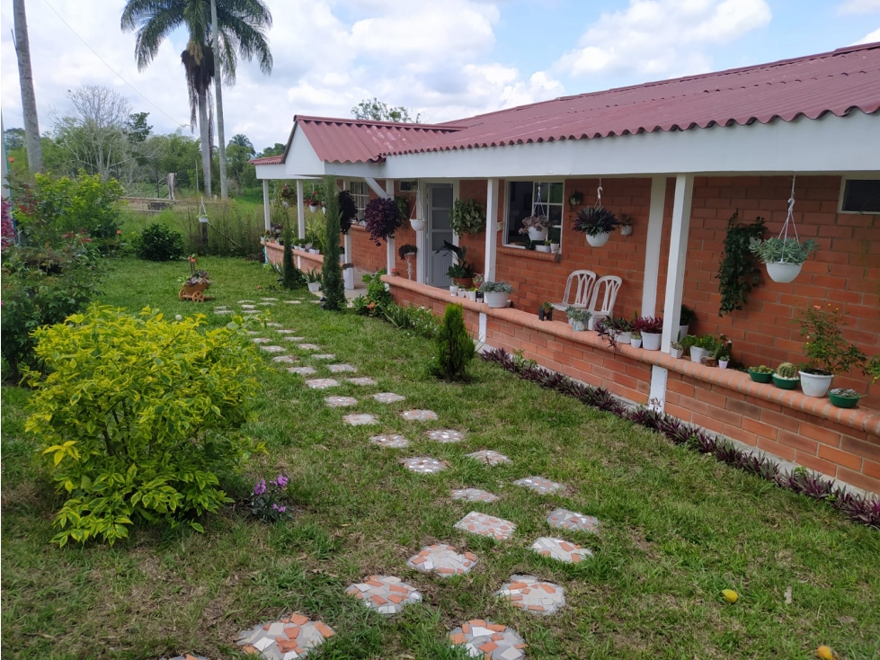 VENDO FINCA EN PEREIRA — foto 5