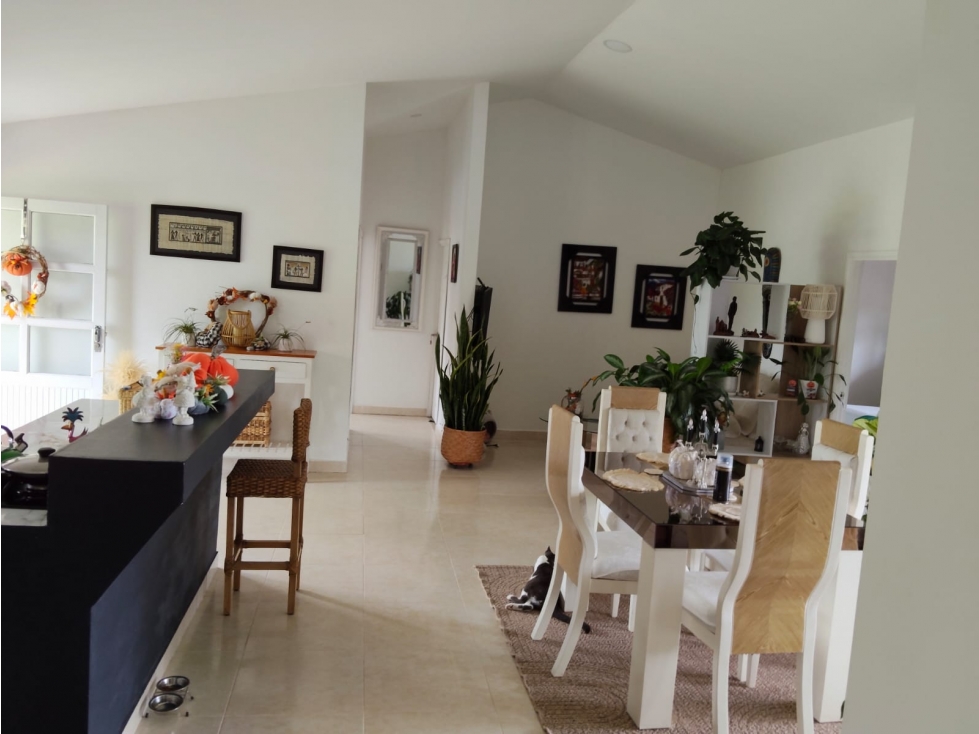 VENDO FINCA EN PEREIRA — foto 6