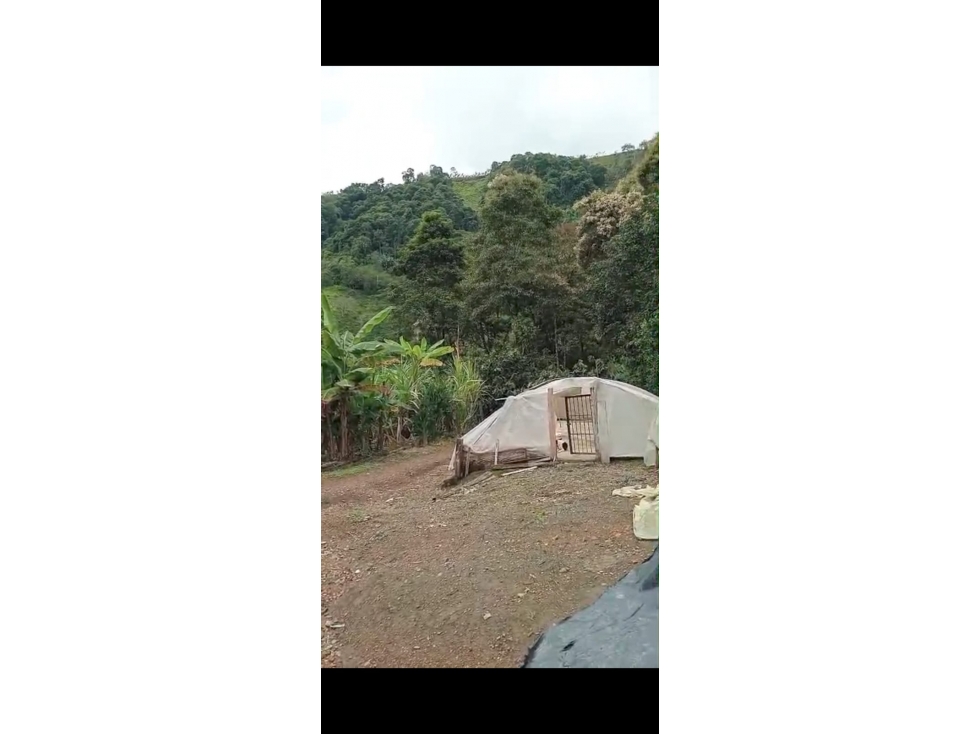 FINCA EN VENTA/BALBOA - 6