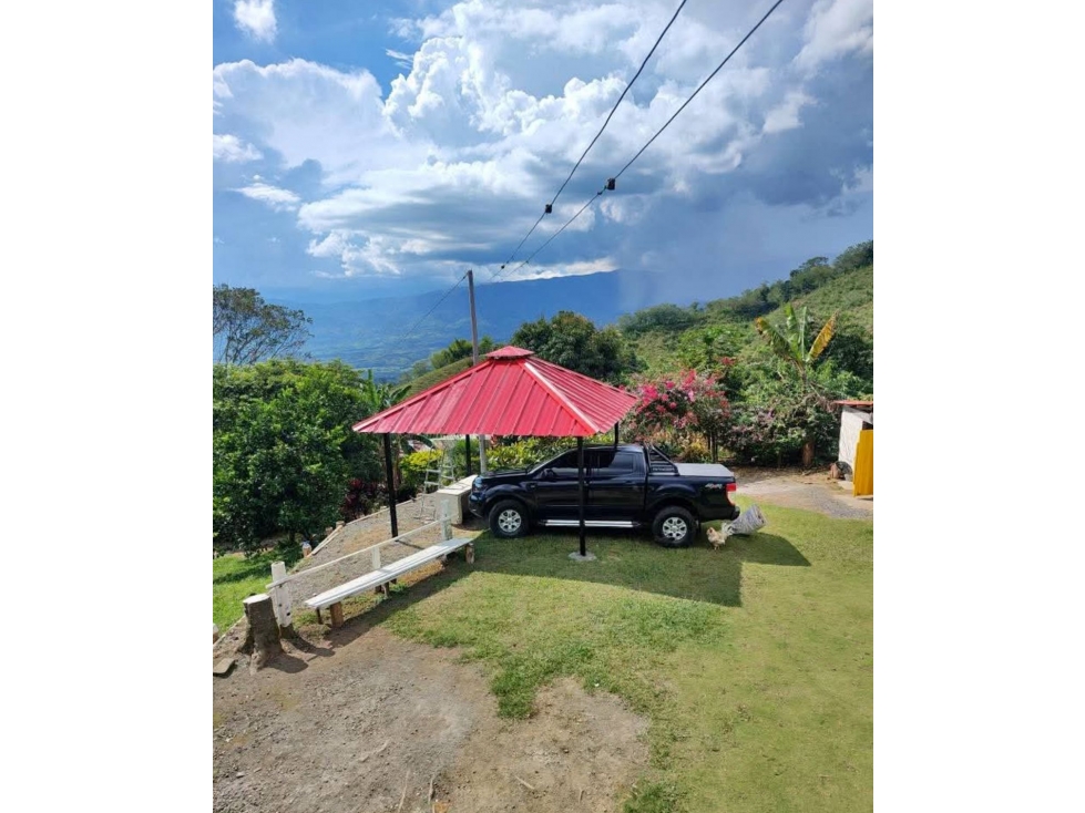 FINCA EN VENTA SAN JOSE-VITERBO CALDAS - 2