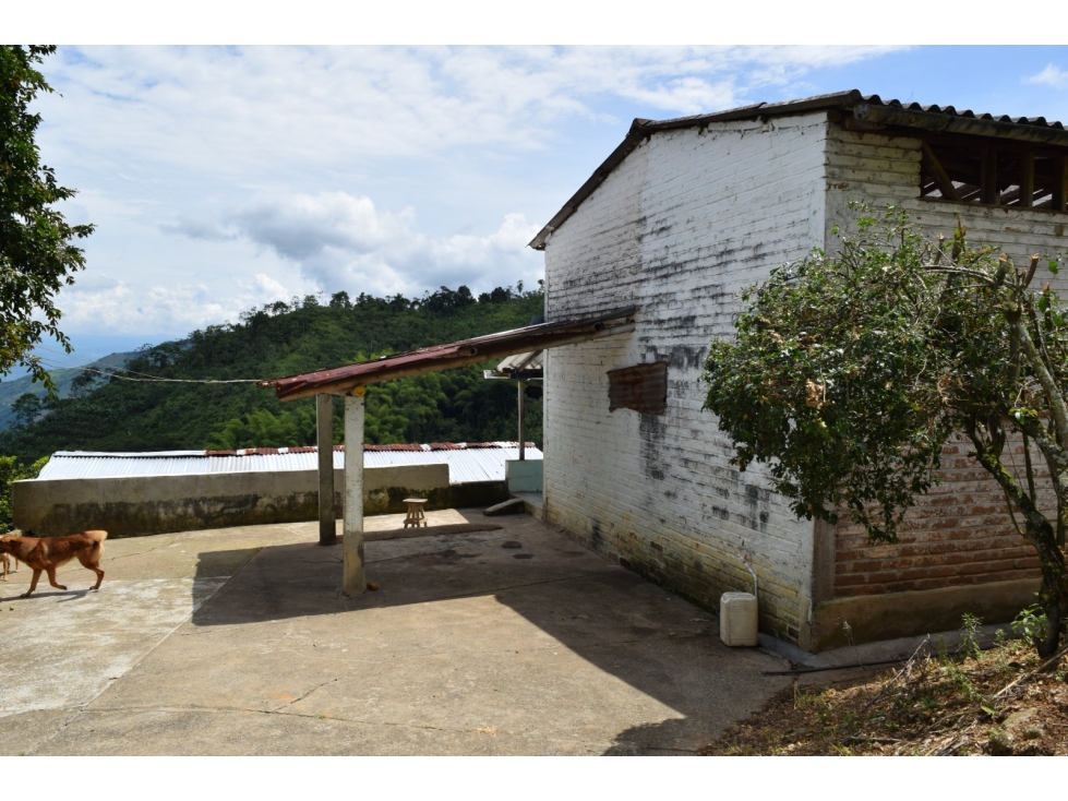 FINCA EN VENTA MARCELLA LAS TAZAS - 3