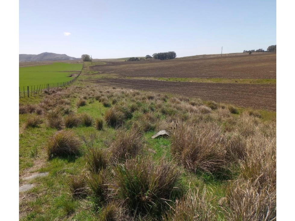 Campo ZONA TANDIL - 2