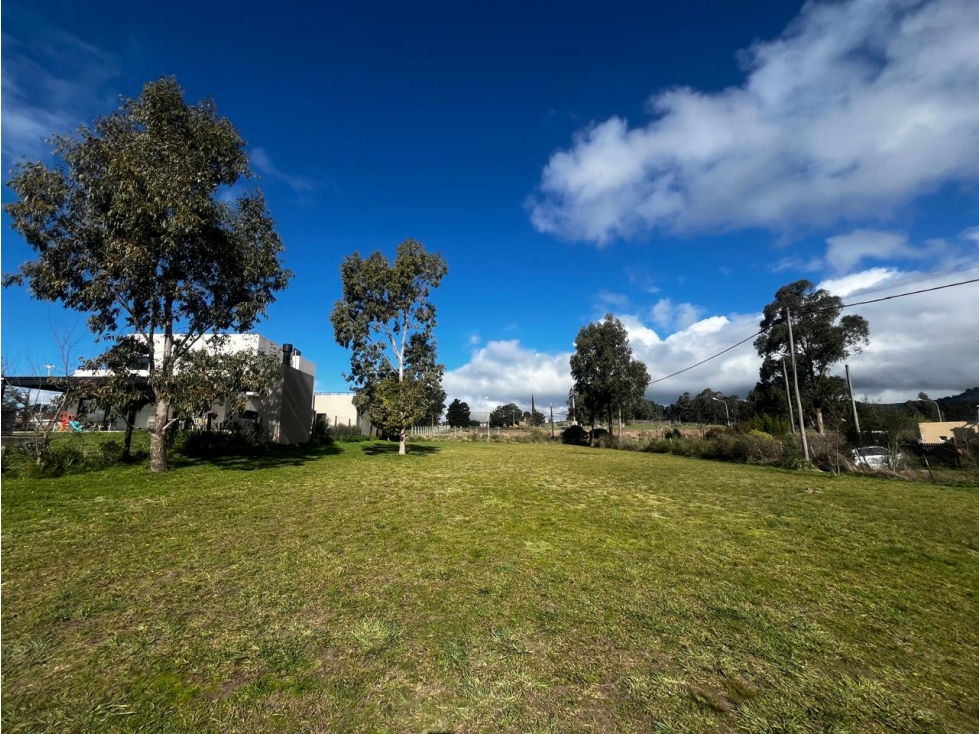 Lote "Reforma Universitaria" - 1