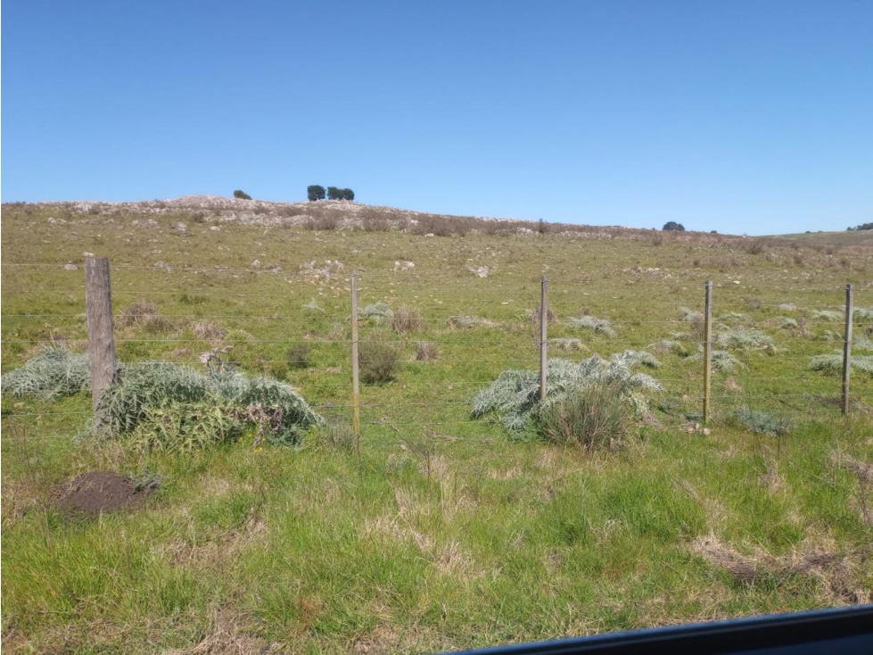 Campo ZONA TANDIL - 3