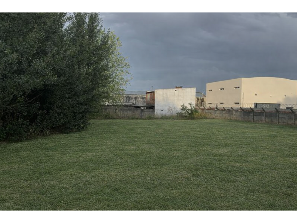 LOTE "CASACUBERTA" — foto 2