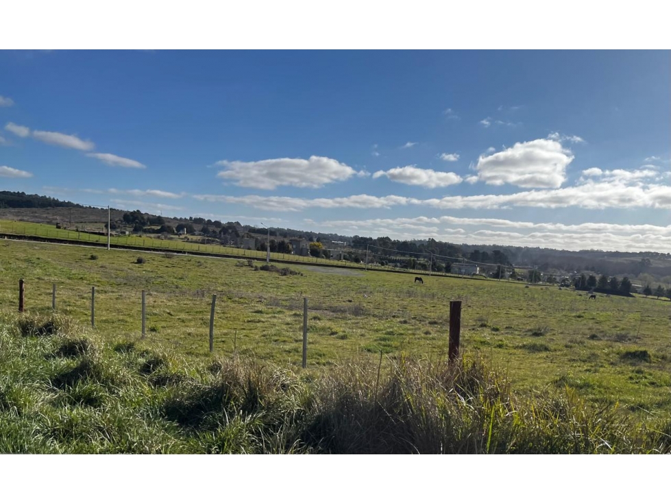 LOTE "Avda. COLIHUE" — foto 5