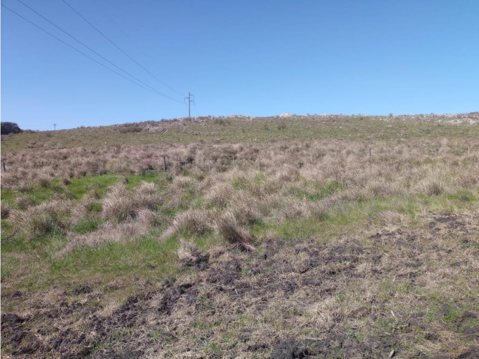Campo ZONA TANDIL - 4