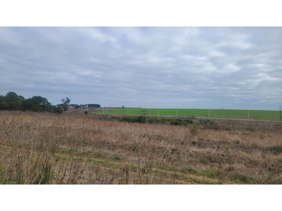 LOTES "RUTA 30" - 6