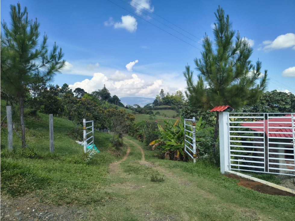 CASA FINCA EN CARBONERO ALTO - 145 - 1