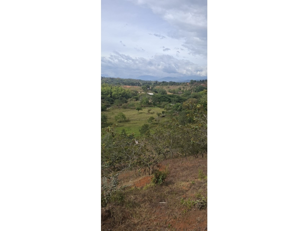 VENTA DE FINCA EN QUITA PEREZA DE 7 HECTAREAS - 180 - 2