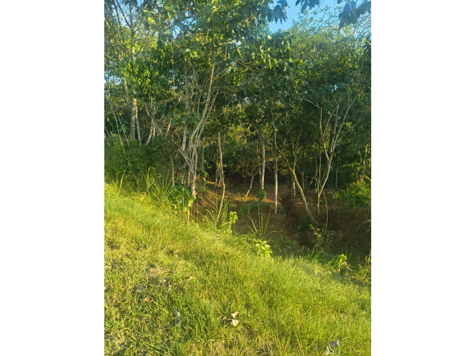 C95 SE VENDE LOTE #15 LAS COLINAS DE SAN PEDRO - 2