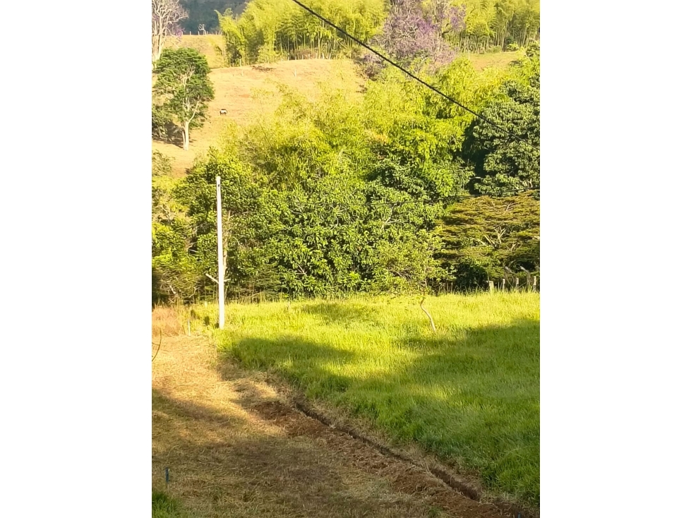 SE VENDE LOTE EN SAN PEDRO, SANTANDER DE Q - C 73