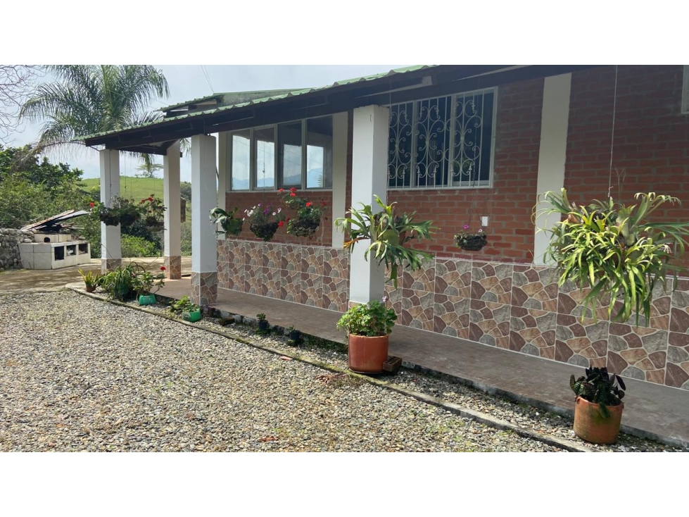 VENTA DE FINCA EN VIA MANANTIAL, CARBONERO ALTO - 152 - 2