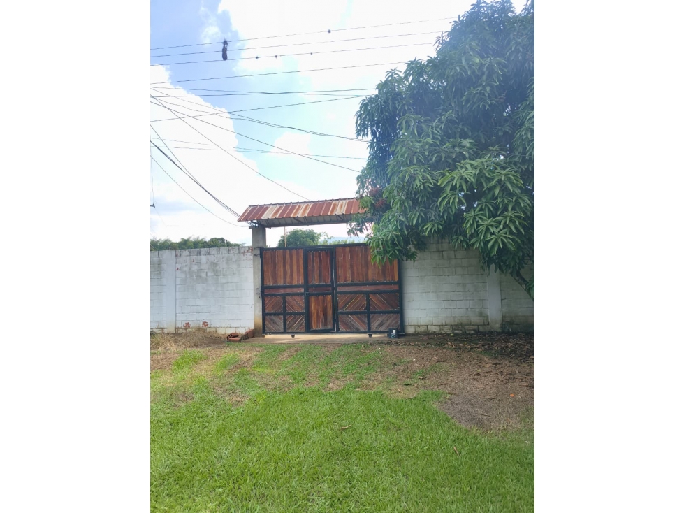 SE VENDE FINCA DE 19.200M2 EN DOMINGUILLO - 105 - 4