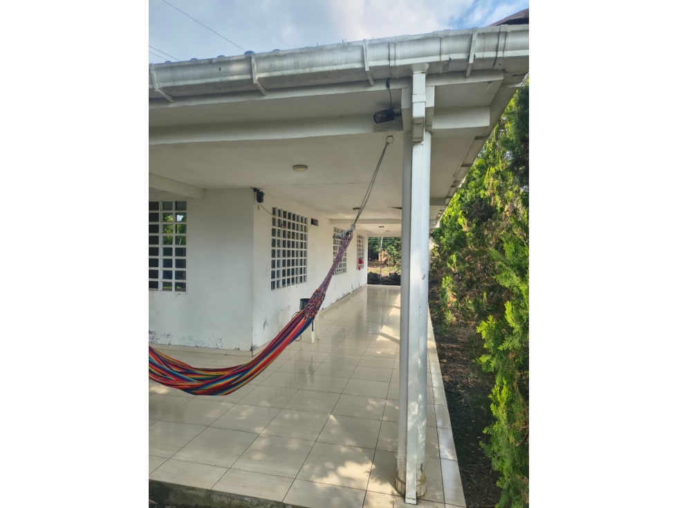 SE VENDE FINCA DE 19.200M2 EN DOMINGUILLO - 105 - 2