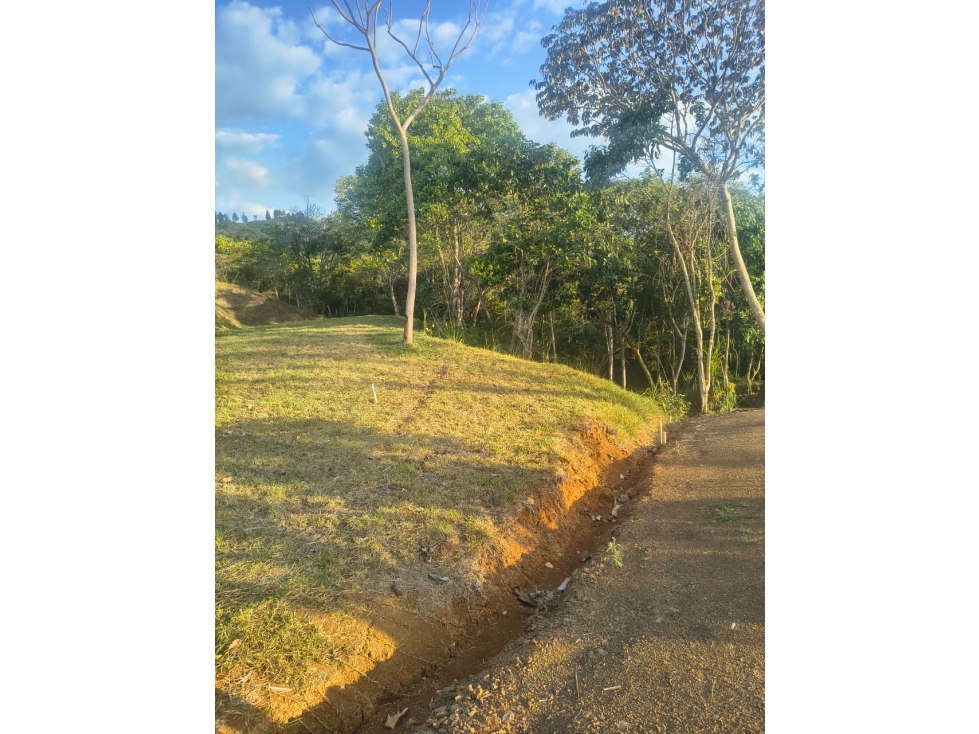 C95 SE VENDE LOTE #15 LAS COLINAS DE SAN PEDRO - 1