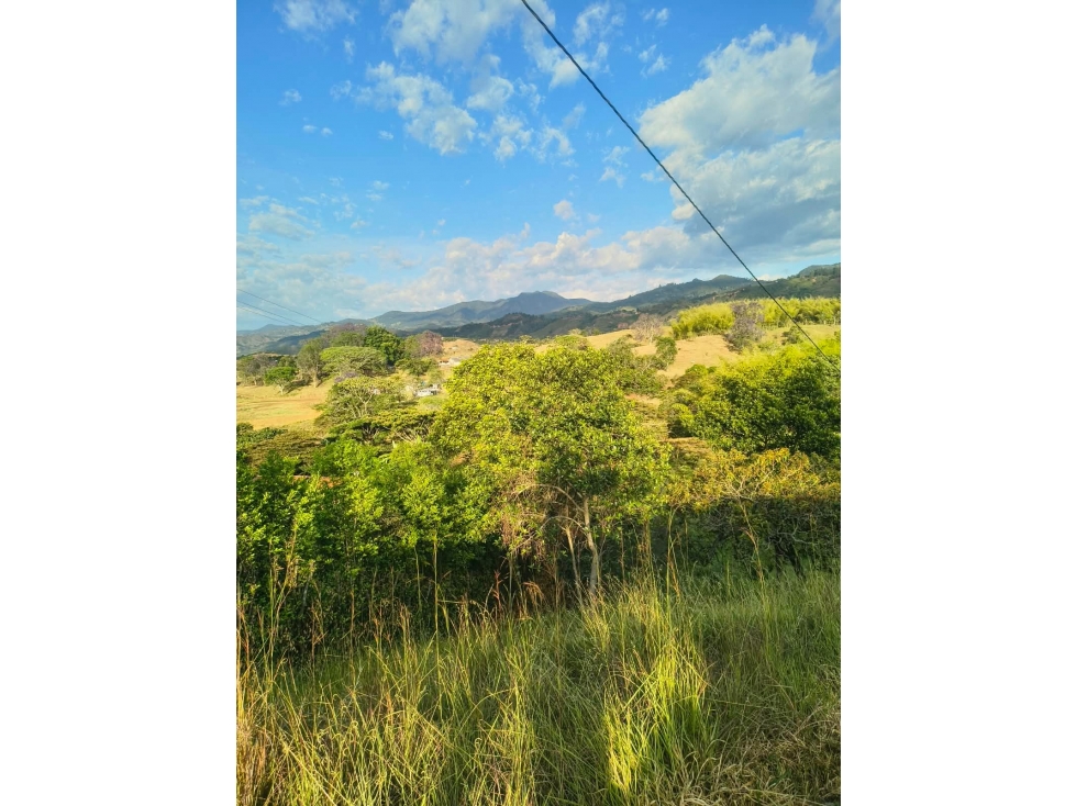 C72 SE VENDE LOTE EN SAN PEDRO, SANTANDER DE QUILICHAO - 2