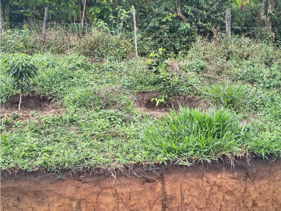 C158 SE VENDE LOTE CAMPESTRE EN VEREDA EL CARMEN, VIA VILACHI - 2