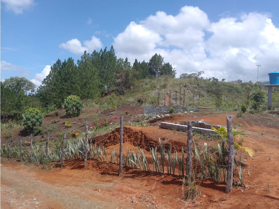 LOTE EN VIA MANANTIAL KILOMETRO 3 - 58 - 6