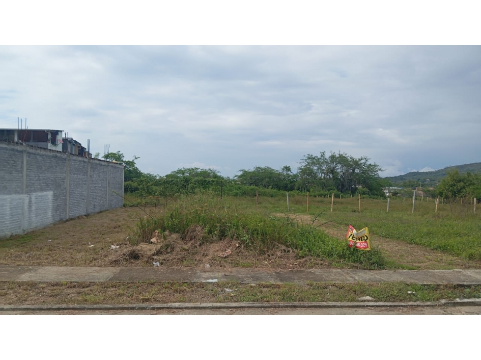 LOTE GRANDE EN LOS GUADUALES - 62 - 3