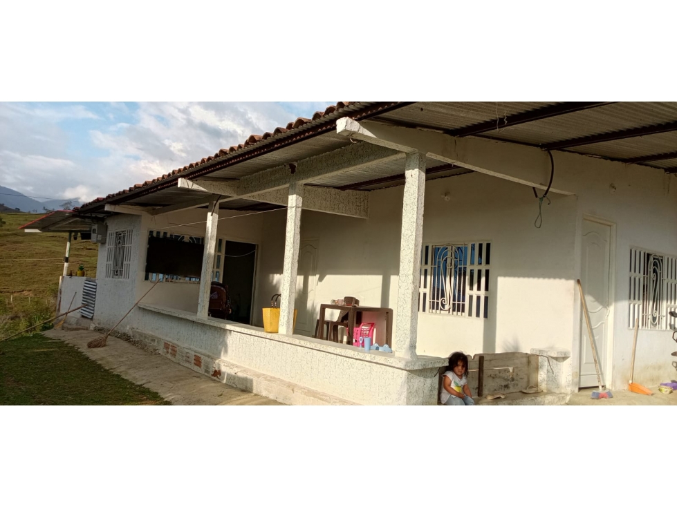 FINCA CON AREA DE 6 HECTAREAS - 65 - 3