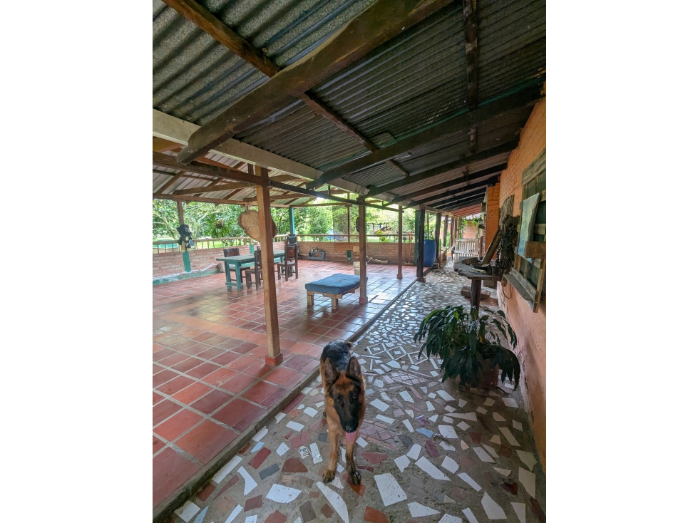 FINCA EN VEREDA DOMINGUILLO - 115 - 4