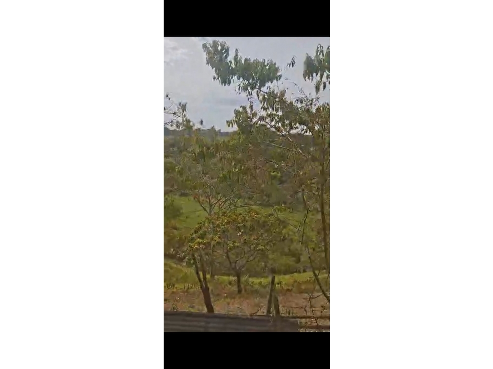 VENTA DE FINCA EN QUITA PEREZA DE 7 HECTAREAS - 180 - 5