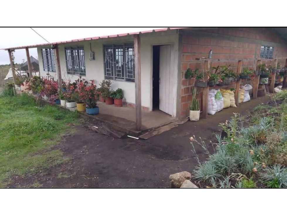 GANGA: VENTA DE FINCA DE 2.5 HECTAREAS EN PIENDAMO - 165 - 5