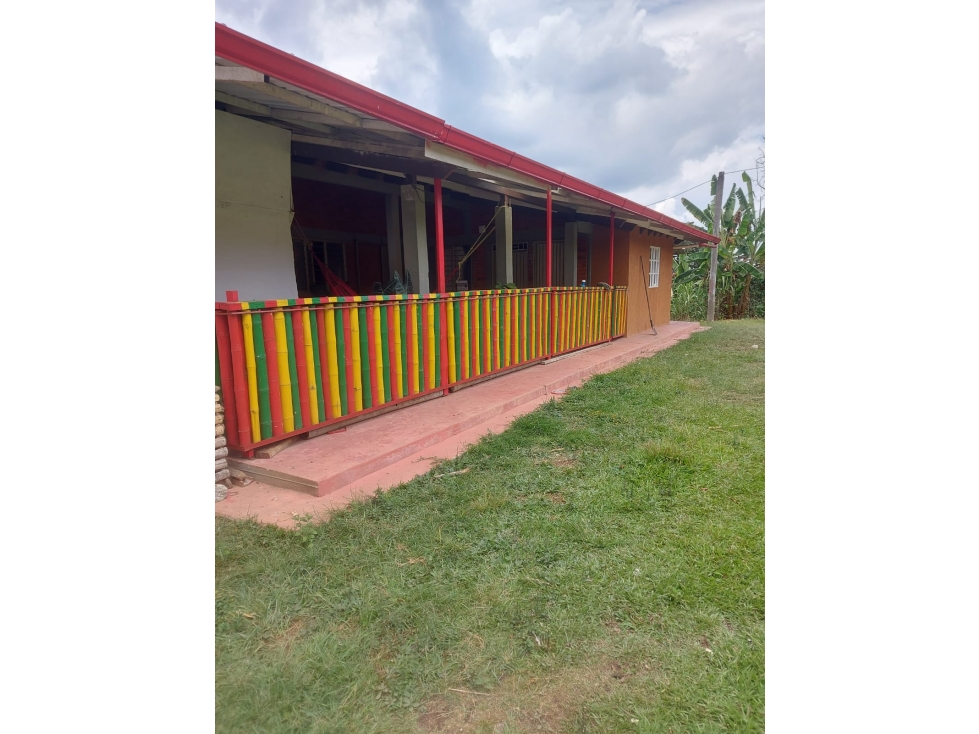 SE VENDE FINCADE 10 HECTAREAS EN MONDOMO VEREDA 3 QUEBRADAS - 172 - 2