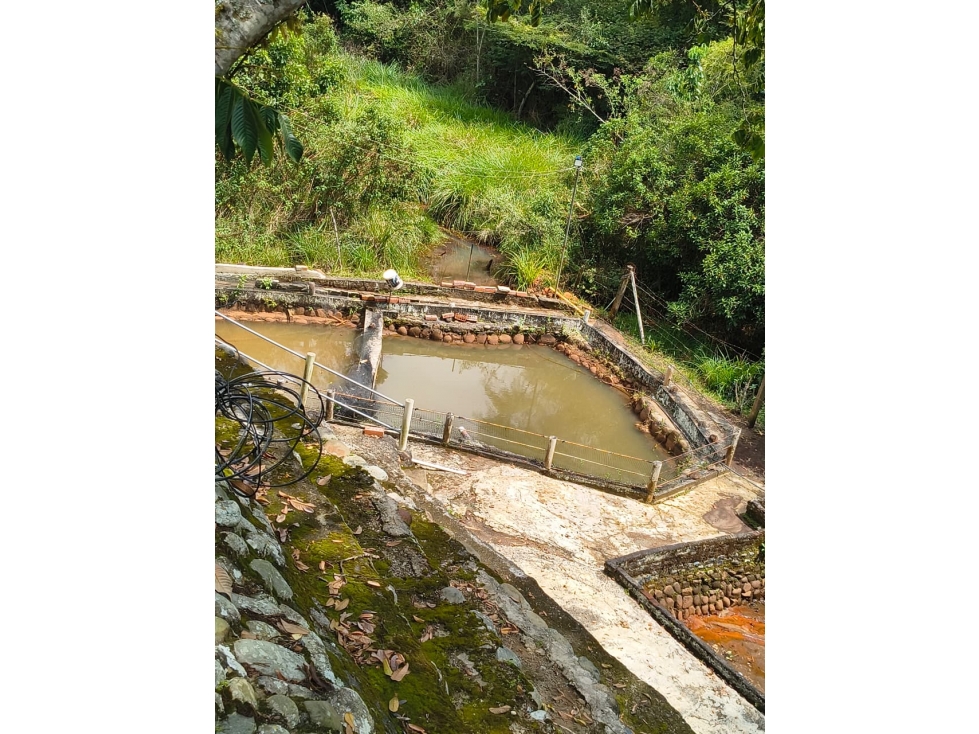 VENTA DE FINCA EN VIA MANANTIAL, CARBONERO ALTO - 152 - 5