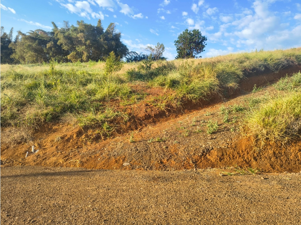 C90 SE VENDE LOTE #3 LAS COLINAS DE SAN PEDRO - 3