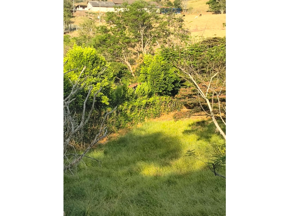 SE VENDE LOTE EN SAN PEDRO, SANTANDER DE Q - C 73 — foto 3