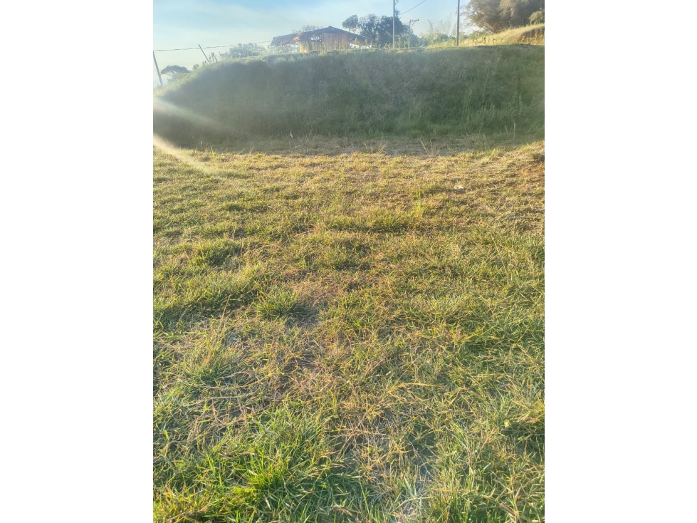 C98 SE VENDE LOTE #17 LAS COLINAS DE SAN PEDRO - 3