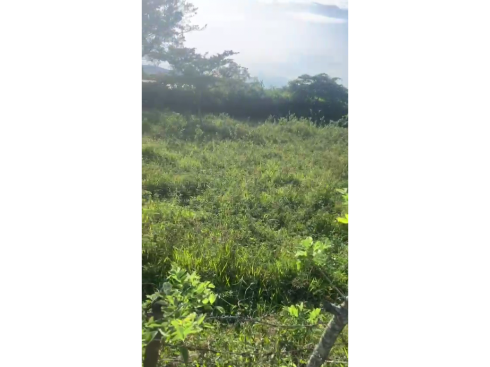 C157 SE VENDE LOTE CAMPESTRE EN QUINAMAYO - 3