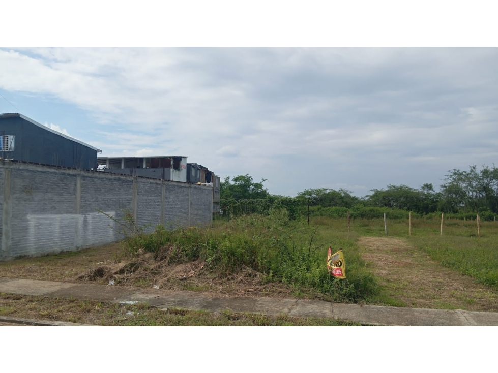 LOTE GRANDE EN LOS GUADUALES - 62 - 1