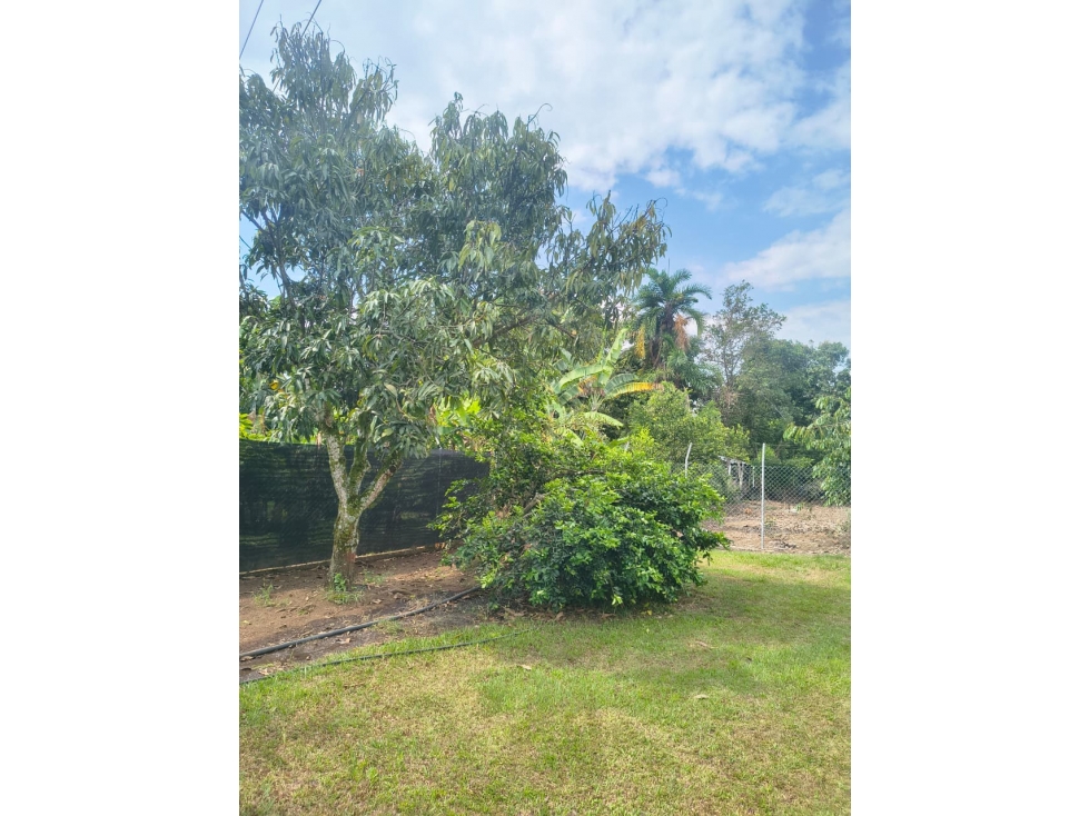 SE VENDE FINCA DE 19.200M2 EN DOMINGUILLO - 105 - 6