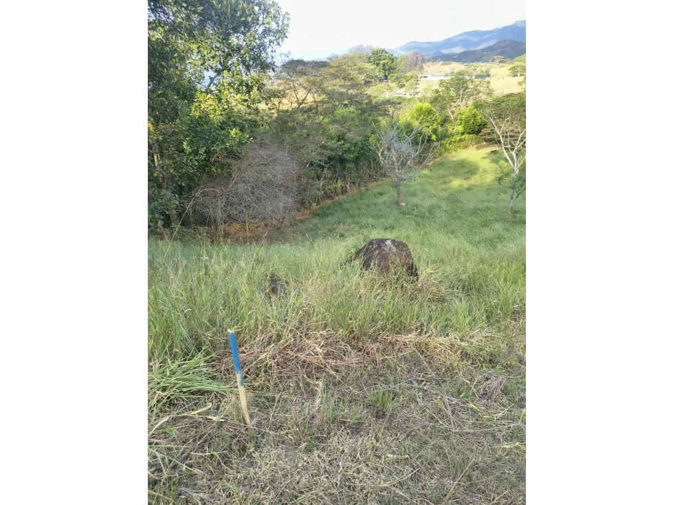 C61 SE VENDE LOTE EN SAN PEDRO, SANTANDER Q. - 4