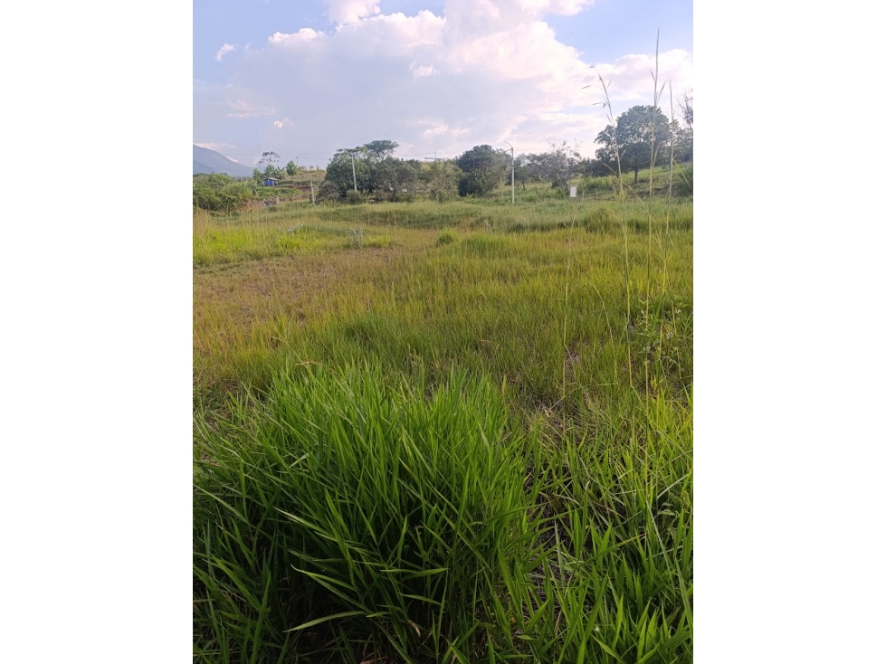 LOTE EN CONDOMINIO SAN PEDRO CAMPESTRE - 5