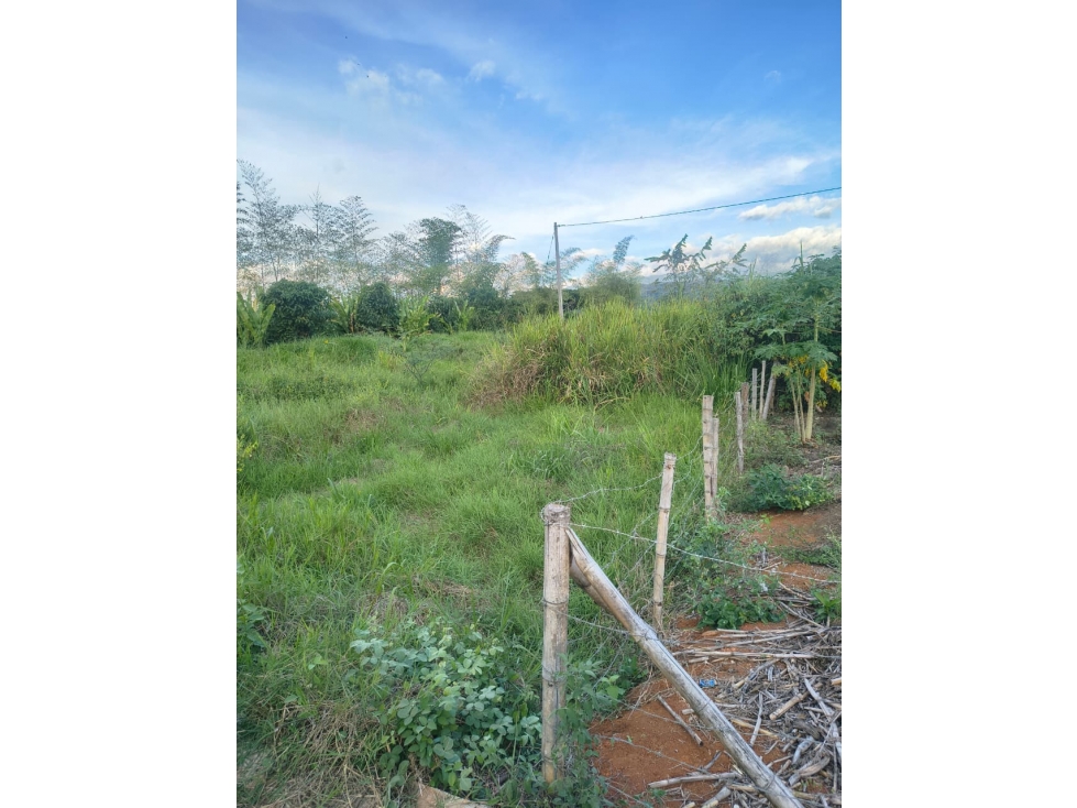 SE VENDE LOTE EN VILLA MARIA - 178 — foto 5