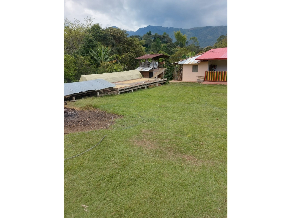 SE VENDE FINCADE 10 HECTAREAS EN MONDOMO VEREDA 3 QUEBRADAS - 172 - 5