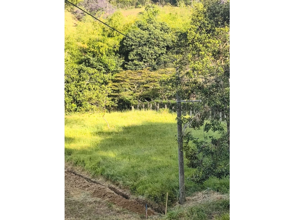 SE VENDE LOTE EN SAN PEDRO, SANTANDER DE Q - C 73 — foto 5