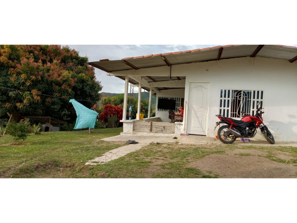 FINCA CON AREA DE 6 HECTAREAS - 65 - 6