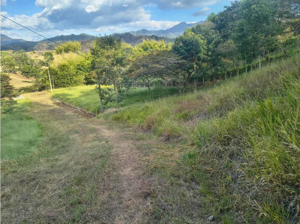 C72 SE VENDE LOTE EN SAN PEDRO, SANTANDER DE QUILICHAO - 6