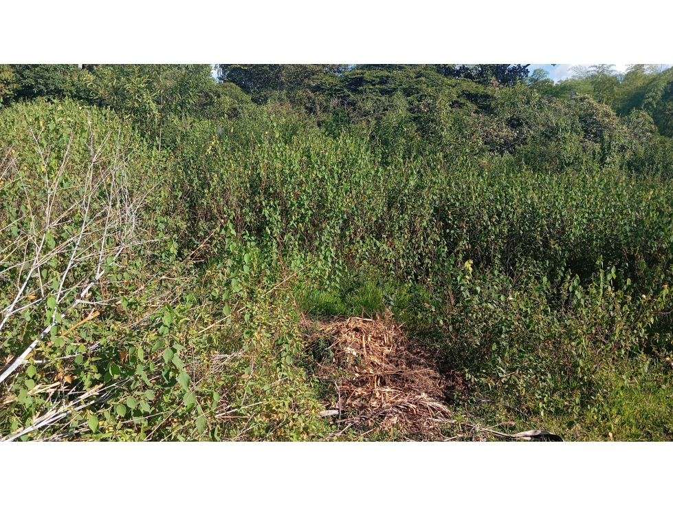 LOTE CAMPESTRE EN QUINAMAYO - 16 - 3